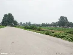 李娜球队席_山东结果意外的简单介绍